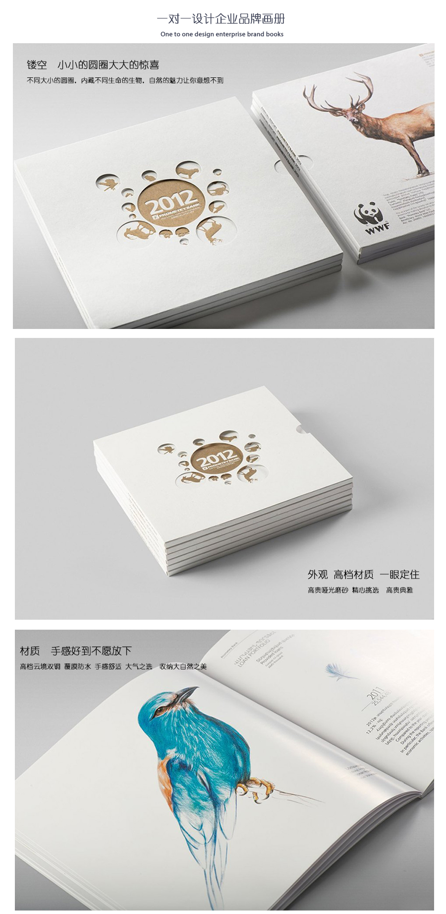 精美生物畫冊、精裝畫冊