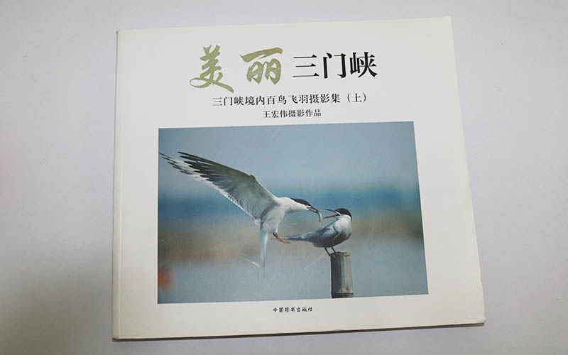 畫冊印刷,畫冊設計,宣傳畫冊印刷